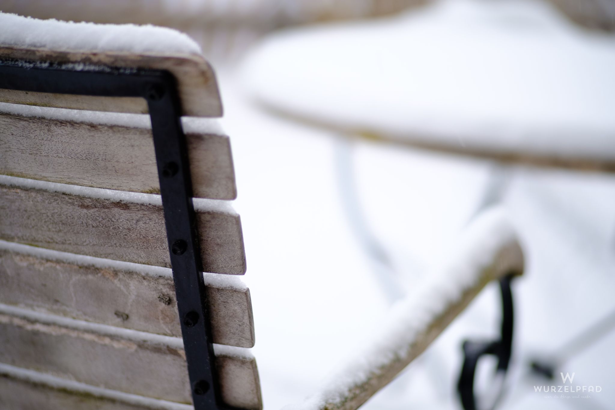 Erster Schnee im Garten, Januar 2021